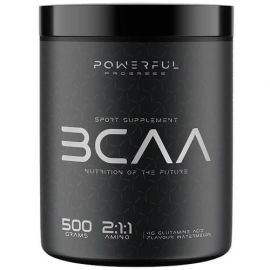 Powerful Progress Amino BCAA 2:1:1 + Glutamine 500 грам, Тропічний мікс